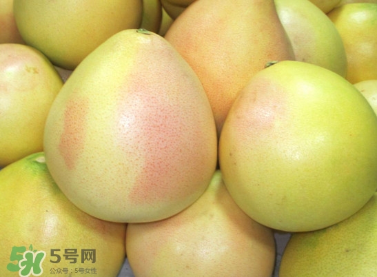 三紅蜜柚什么時(shí)候種植？三紅蜜柚什么時(shí)候成熟