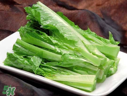 萵苣葉能吃嗎？萵苣葉和油麥菜有什么區(qū)別