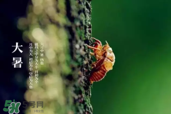 三伏天怎樣飲食？三伏天不宜做哪些事？
