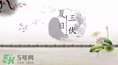 三伏天練什么？三伏天具體怎么養(yǎng)生？