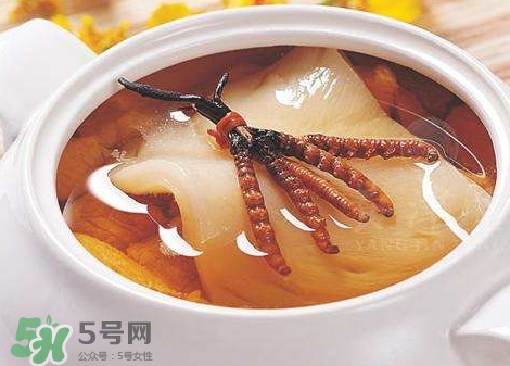 花膠能天天吃嗎？花膠一天吃多少克？
