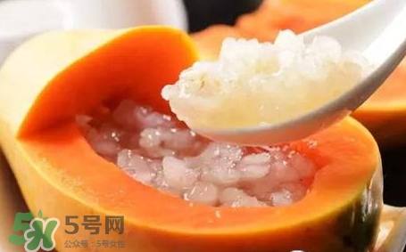 雪蛤能抗衰老嗎？雪蛤怎么吃抗衰老？