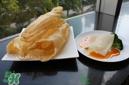 花膠可以放多久？花膠可以放冰箱嗎？