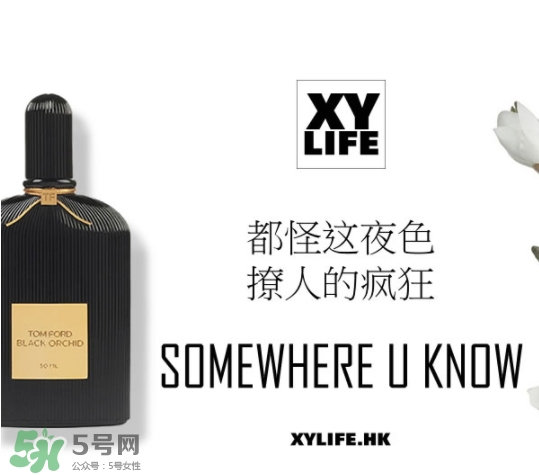 tom ford午夜蘭花香水多少錢？午夜蘭花香水專柜價(jià)格