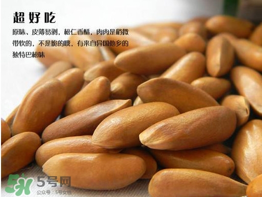 松籽可以生吃嗎？松籽怎么儲藏保存