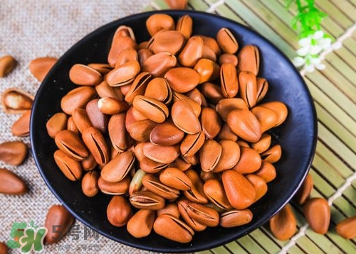 松籽什么季節(jié)采摘？吃松籽有什么好處？