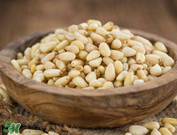 松籽是什么樹結(jié)的？松子還是松籽？