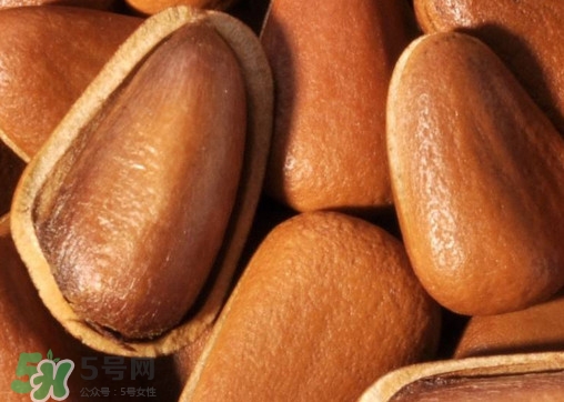 松籽什么季節(jié)采摘？吃松籽有什么好處？