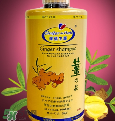 琴葉生姜洗發(fā)水好用嗎？琴葉生姜洗發(fā)水真假