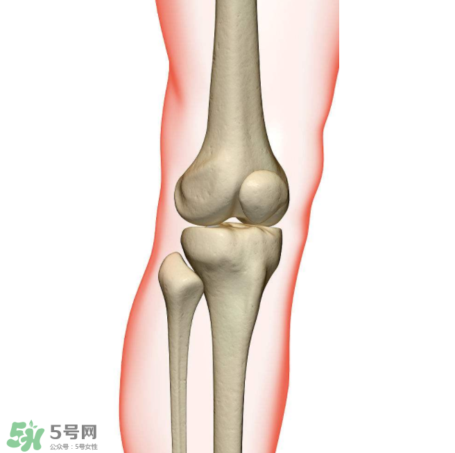 風(fēng)濕不治療可以治愈嗎？早期風(fēng)濕能自愈嗎？