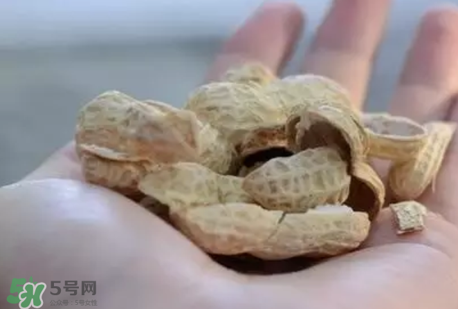 花生發(fā)芽后營養(yǎng)如何？花生殼煮水喝有什么用？