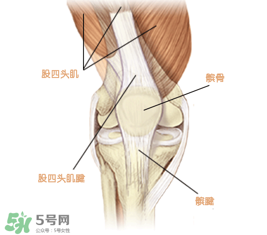 風濕可以吃螃蟹嗎？得了風濕能吃螃蟹嗎？