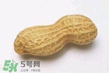 花生有哪些種類型？花生怎么栽培管理？