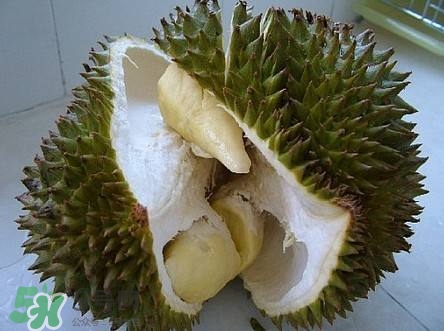 榴蓮和雞蛋能一起吃嗎？榴蓮和什么不能一起吃？
