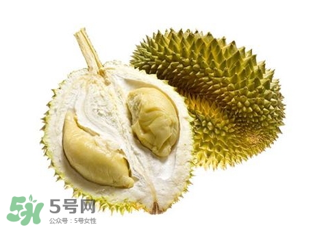 榴蓮籽能種嗎？榴蓮籽怎么種小盆栽？