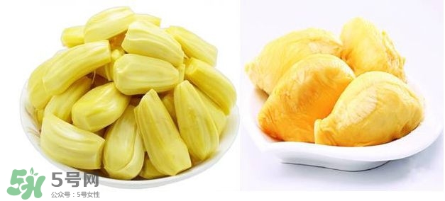榴蓮和菠蘿蜜一樣嗎？榴蓮和菠蘿蜜哪個(gè)營(yíng)養(yǎng)好？