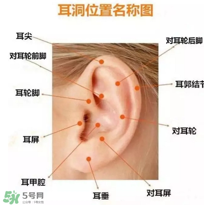 打耳洞多少錢一對(duì)？打耳洞相當(dāng)于什么疼