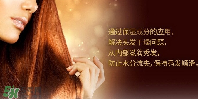 indefinie是什么牌子？indefinie洗發(fā)水怎么樣？