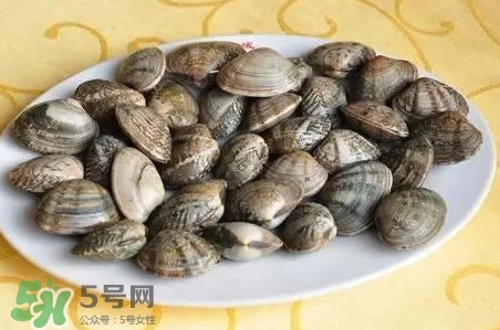 蛤蜊和花甲一樣嗎？蛤蜊和花甲的區(qū)別