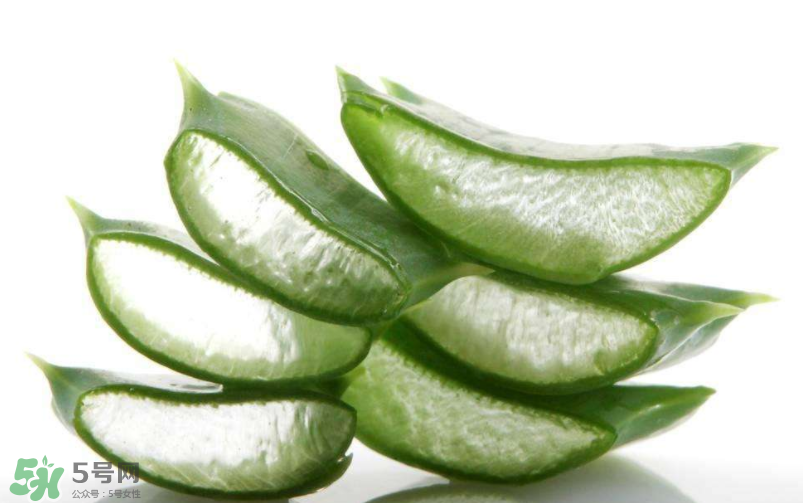 敏感肌能使用蘆薈護(hù)膚嗎？蘆薈膠有什么用？