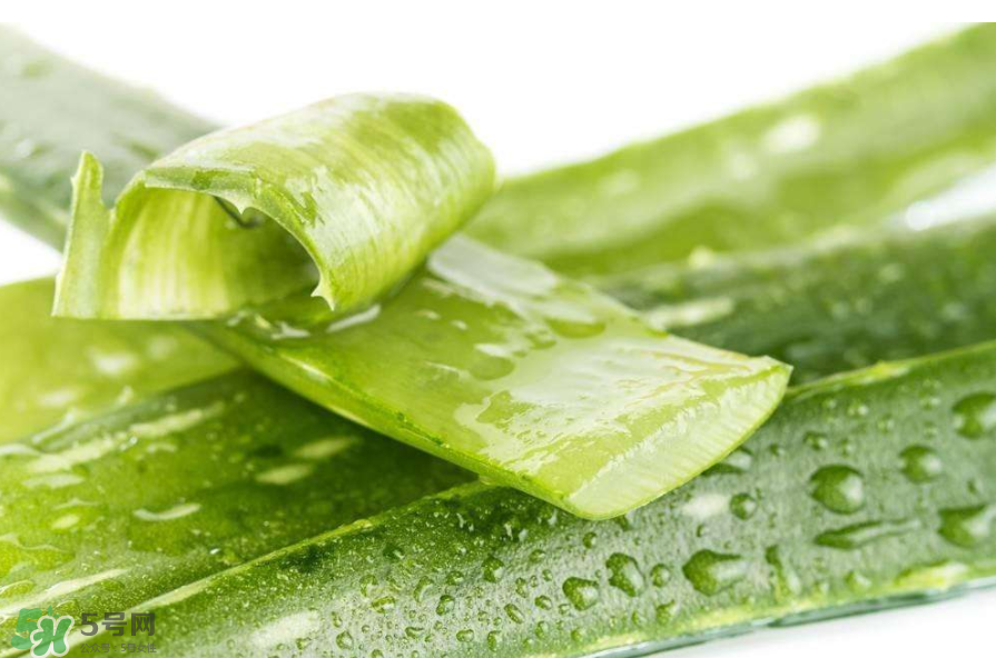 敏感肌能使用蘆薈護(hù)膚嗎？蘆薈膠有什么用？