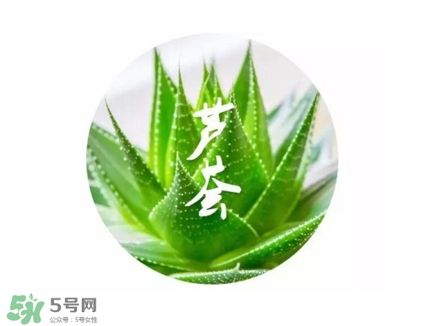 蘆薈膠的醫(yī)療作用有哪些？蘆薈膠的使用方法有哪些？