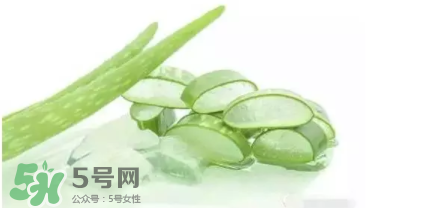 蘆薈怎么吃？蘆薈番茄湯的做法 