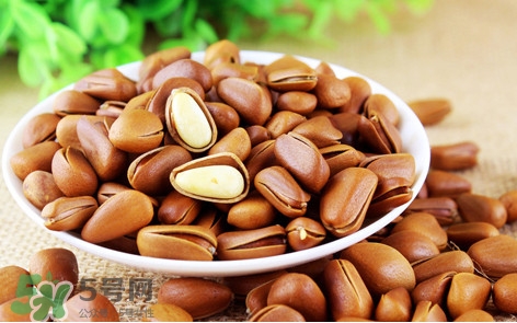 松子什么時(shí)候成熟？松子什么時(shí)候吃最好