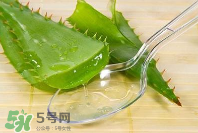 新鮮的蘆薈怎么吃？蘆薈的多種吃法