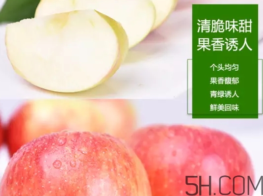 美八蘋果價格多少錢？美八蘋果多少錢一斤？