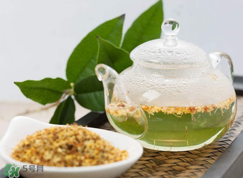 桂花茶怎么泡好喝？桂花茶怎么制作？