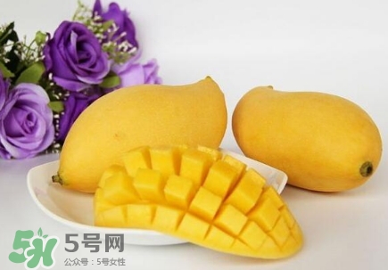 芒果有哪些品種？哪種芒果最好吃？