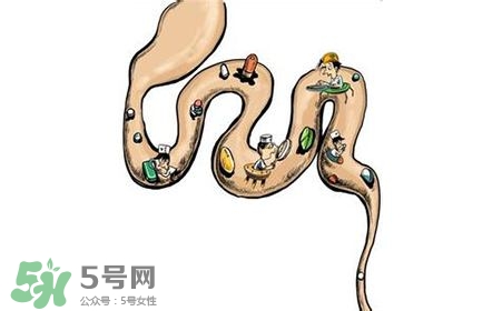 螺旋藻能治胃病嗎？有胃病日常需要注意什么？