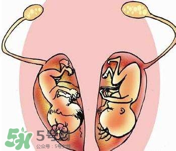 雙子宮對(duì)懷孕有影響嗎？雙子宮懷孕要注意什么？