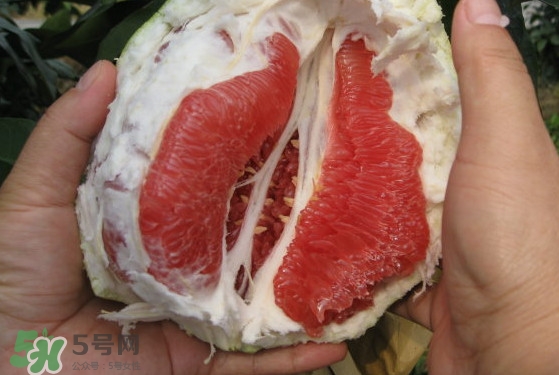 紅肉蜜柚可以儲(chǔ)存多久？紅肉蜜柚怎么挑選