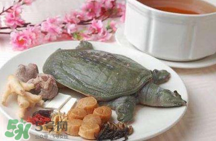 腳魚(yú)是什么？腳魚(yú)和烏龜?shù)膮^(qū)別