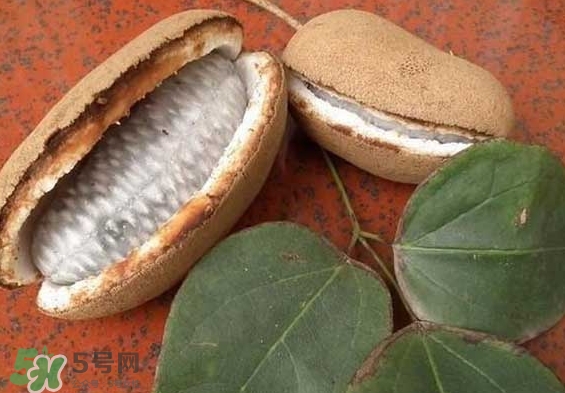 八月瓜能放冰箱嗎？八月瓜怎么保存？