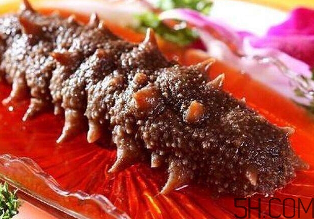 海參能和西紅柿一起吃嗎？海參和什么一起吃最好？