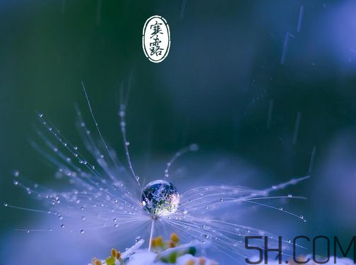2017年寒露會下雨嗎？寒露下雨好嗎？