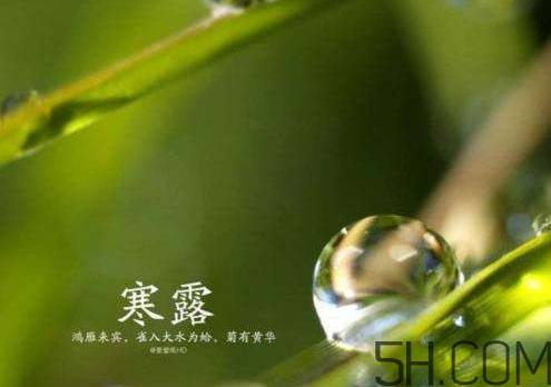2017年寒露會下雨嗎？寒露下雨好嗎？