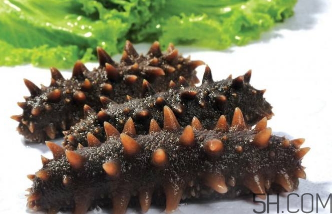 術(shù)后能吃海參嗎？術(shù)后吃海參的功效與作用