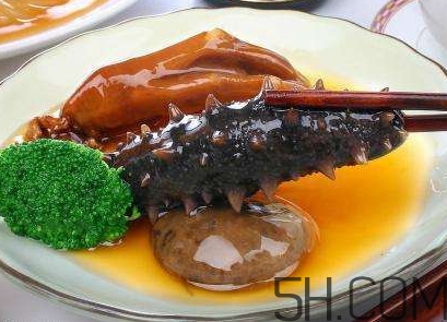 海參是海鮮嗎？海參是動物還是植物？