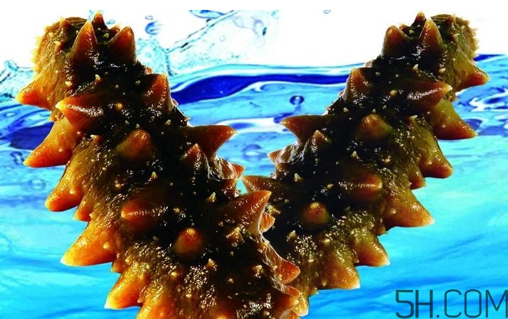 海參是酸性還是堿性？海參是涼性還是熱性？