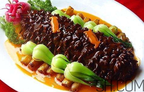 海參是高蛋白食物嗎？海參是素食嗎？