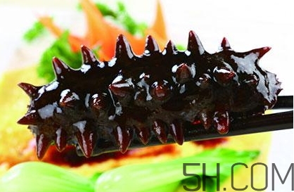 海參是高蛋白食物嗎？海參是素食嗎？