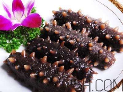 海參是高蛋白食物嗎？海參是素食嗎？