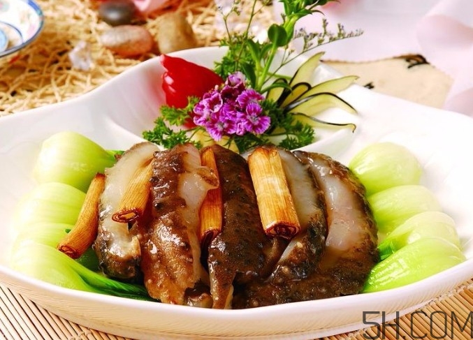 海參是高蛋白食物嗎？海參是素食嗎？