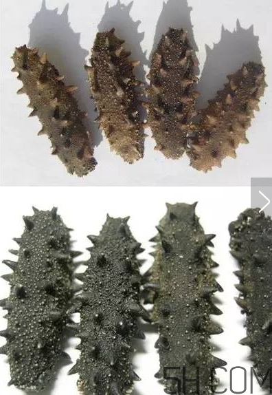 海參顏色深好還是淺好？海參顏色發(fā)白時怎么回事？