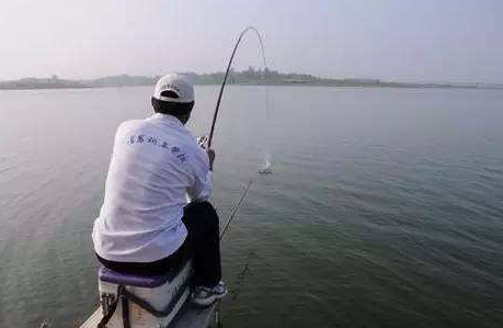 大蒜泡酒能釣魚嗎？大蒜泡酒釣魚的方法