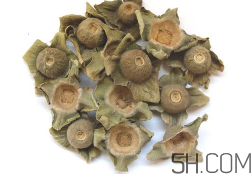 柿蒂治打嗝怎么煮水？柿蒂的功效與作用